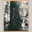 Man beside boulder (ddr-densho-468-284)