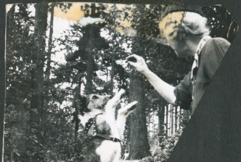 Woman and a dog performing a trick (ddr-densho-483-1123)