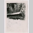 Snowy cabin (ddr-densho-325-335)