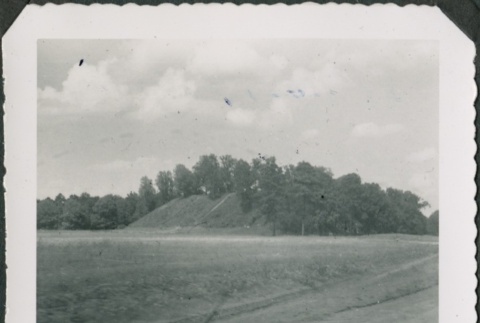 Hill with trees (ddr-densho-321-394)