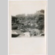 Pond (ddr-densho-377-2256)