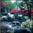 Water feature and landscaping (ddr-densho-377-1483)