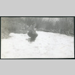 Photograph of a women crouching in the snow on a hillside (ddr-csujad-47-307)