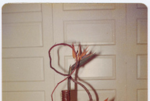 Photo front and back (ddr-densho-534-21-mezzanine-b19a63dd19)
