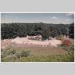Pool (ddr-densho-377-1918)