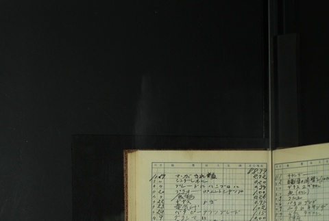 Page 413 (ddr-densho-255-11-master-b621e02577)