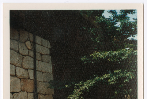 Mitsuye Yabe and Friends Outside Matsuyama Castle (ddr-ohs-1-211)