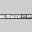 Negative film strip for Farewell to Manzanar scene stills (ddr-densho-317-234)