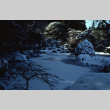 Japanese Garden in the snow (ddr-densho-354-929)
