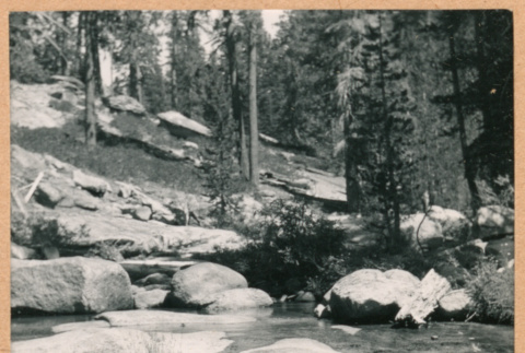 River bank (ddr-densho-468-287)