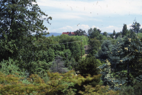 View of the Garden from the Overlook on top of the Mountainside (ddr-densho-354-1229)