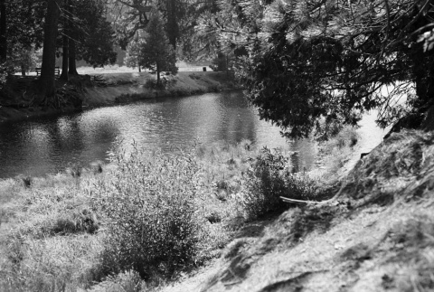 View of a creek (ddr-densho-336-429)