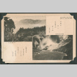 National Park Aso postcard (ddr-densho-483-389)