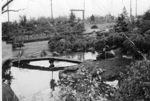 Early photo of the Garden, with the entrance gate in the background (ddr-densho-354-158)
