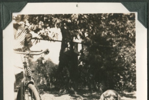 A dog and a bicyle (ddr-densho-328-418)