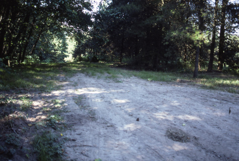 Maintenance road from near chip pile looking northwest (ddr-densho-354-1096)