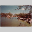 Pond (ddr-densho-377-2093)