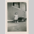 Toddler girl standing outside barracks (ddr-densho-329-1345)