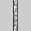 Negative film strip for Farewell to Manzanar scene stills (ddr-densho-317-127)