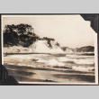 Waves on shore (ddr-densho-326-303)