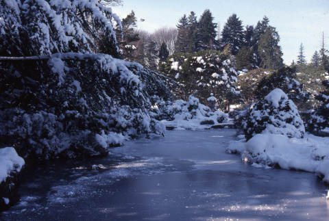 Pond in the snow (ddr-densho-354-1342)