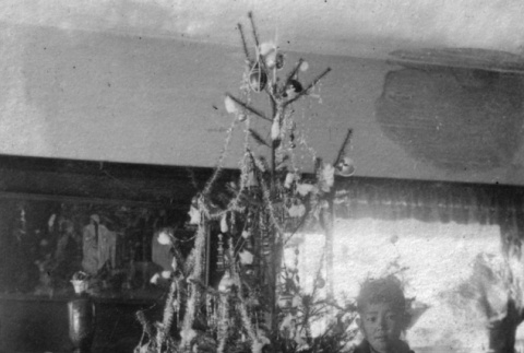Two children pose by Christmas tree (ddr-ajah-6-579)