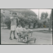 Boy pushing two children on a stroller (ddr-densho-523-184)