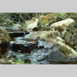 Mountainside creek (ddr-densho-354-1002)