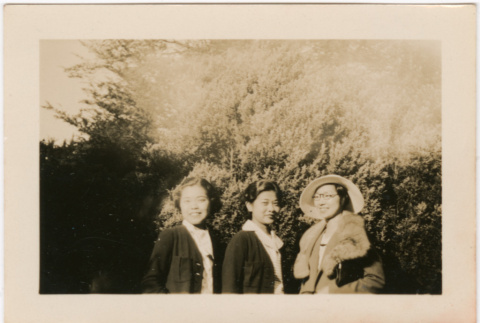 Three women standing by tree (ddr-densho-426-1560)