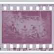 Film negative of hunting group (ddr-densho-383-458)