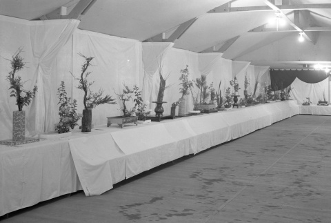 Ikebana exhibit in camp (ddr-fom-1-124)