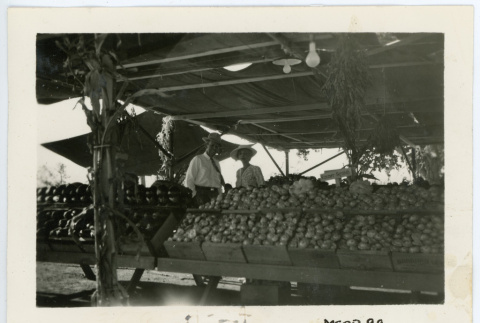 Photograph of fruit at the Manzanar farm exhibit with two people in the background (ddr-csujad-47-64)