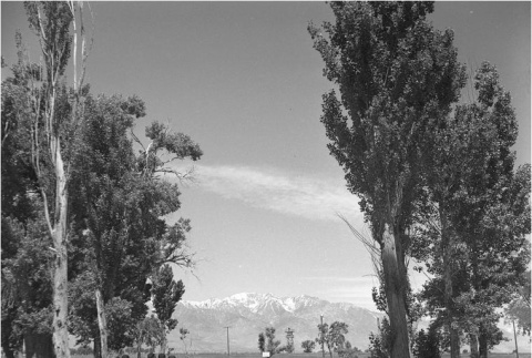 Manzanar landscape (ddr-densho-153-281)