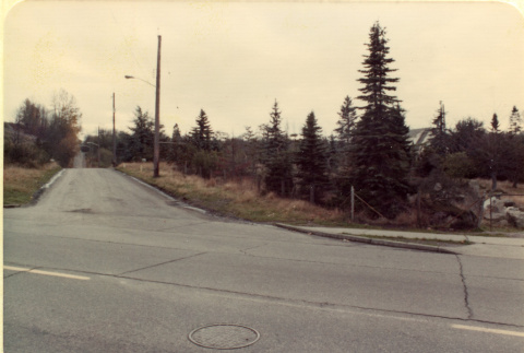 Looking south along 55th Avenue S. from Renton Avenue S.; subject on right (ddr-densho-354-1584)