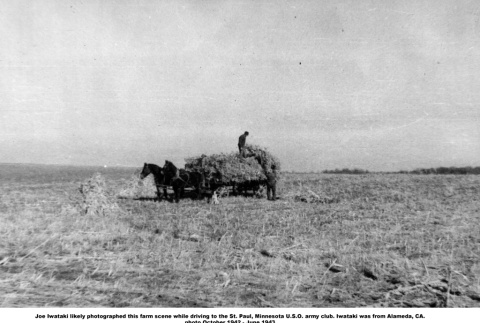 Horse drawn hay wagon in field (ddr-ajah-2-794)