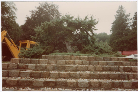 Front and back (ddr-densho-377-1978-mezzanine-9ce6f286d9)