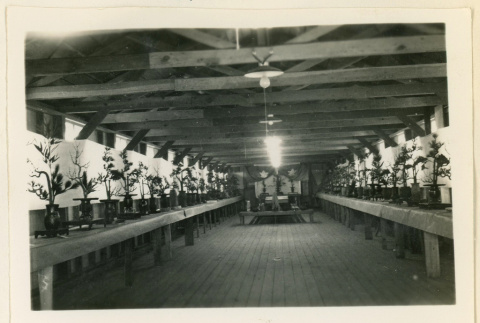 Flower arrangement exhibit (ddr-densho-37-1322)