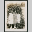 three girls posing (ddr-densho-378-283)