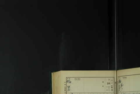 Page 225 (ddr-densho-255-8-master-761d30c93a)