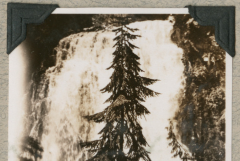 Waterfall and trees (ddr-densho-383-315)