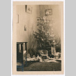 Christmas Tree (ddr-densho-335-172)