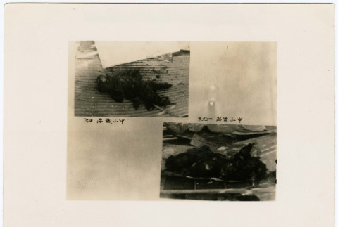 Front and back of photograph (ddr-densho-381-108-mezzanine-fb20f00ab9)