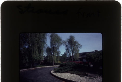 The front driveway and garden at the Straus project (ddr-densho-377-612)