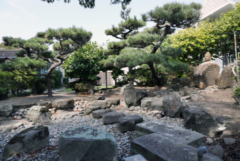 Garden at Alameda Buddhist Temple (ddr-densho-512-110)