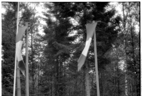 Flags and stairs (ddr-densho-1007-1293)