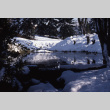 Spring Pond in the snow (ddr-densho-354-1130)