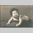 Portrait of baby, laying on tummy (ddr-densho-523-131)