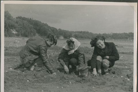 A group digging for clams (ddr-densho-201-887)