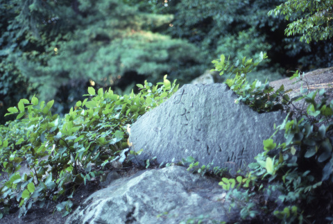 Yo Sa Koi Stone (ddr-densho-354-1194)