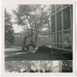 Tree planting (ddr-densho-377-2150)